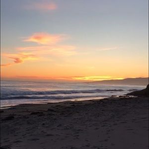 Meet your Posher, Brigette